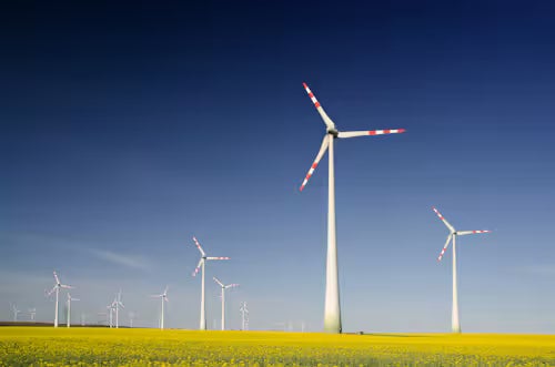 Windräder am Horizont