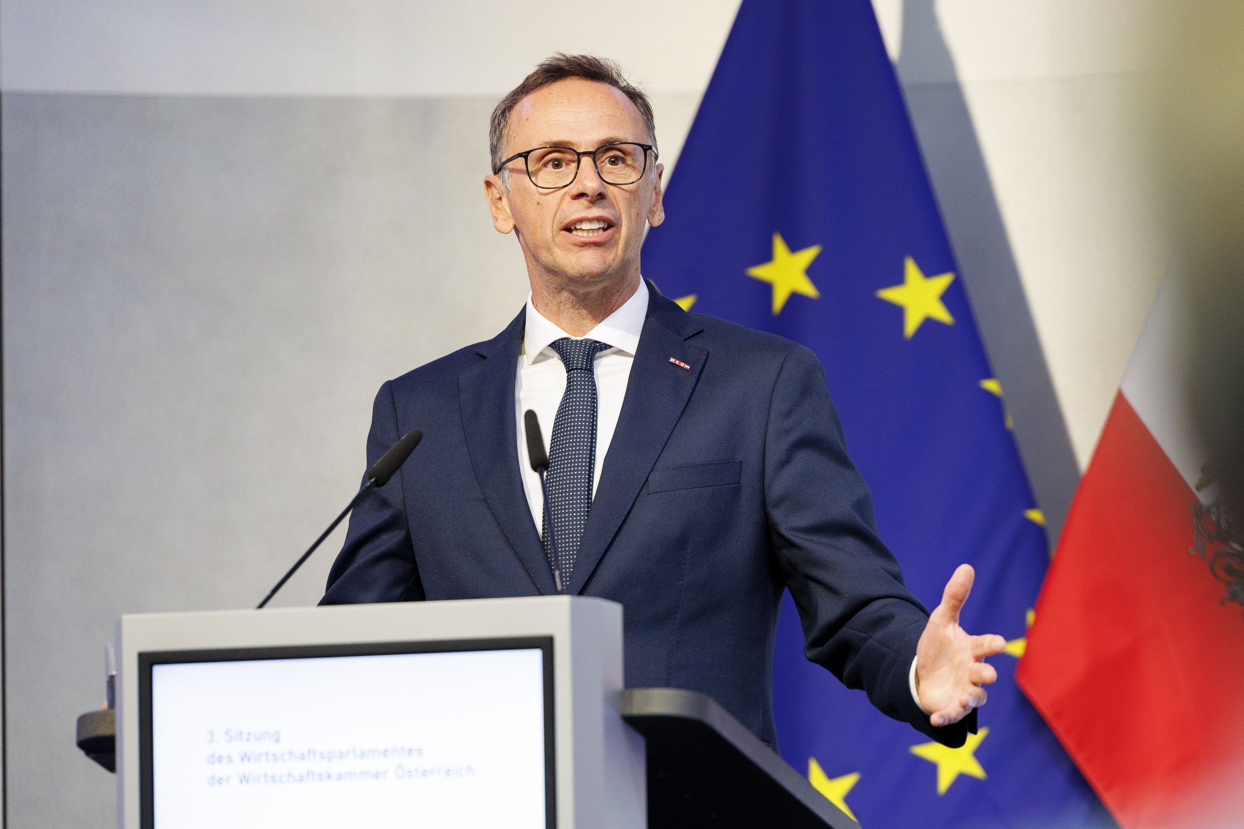 Ein Mann im Anzug spricht am Rednerpult, im Hintergrund EU- und Österreich-Flagge.