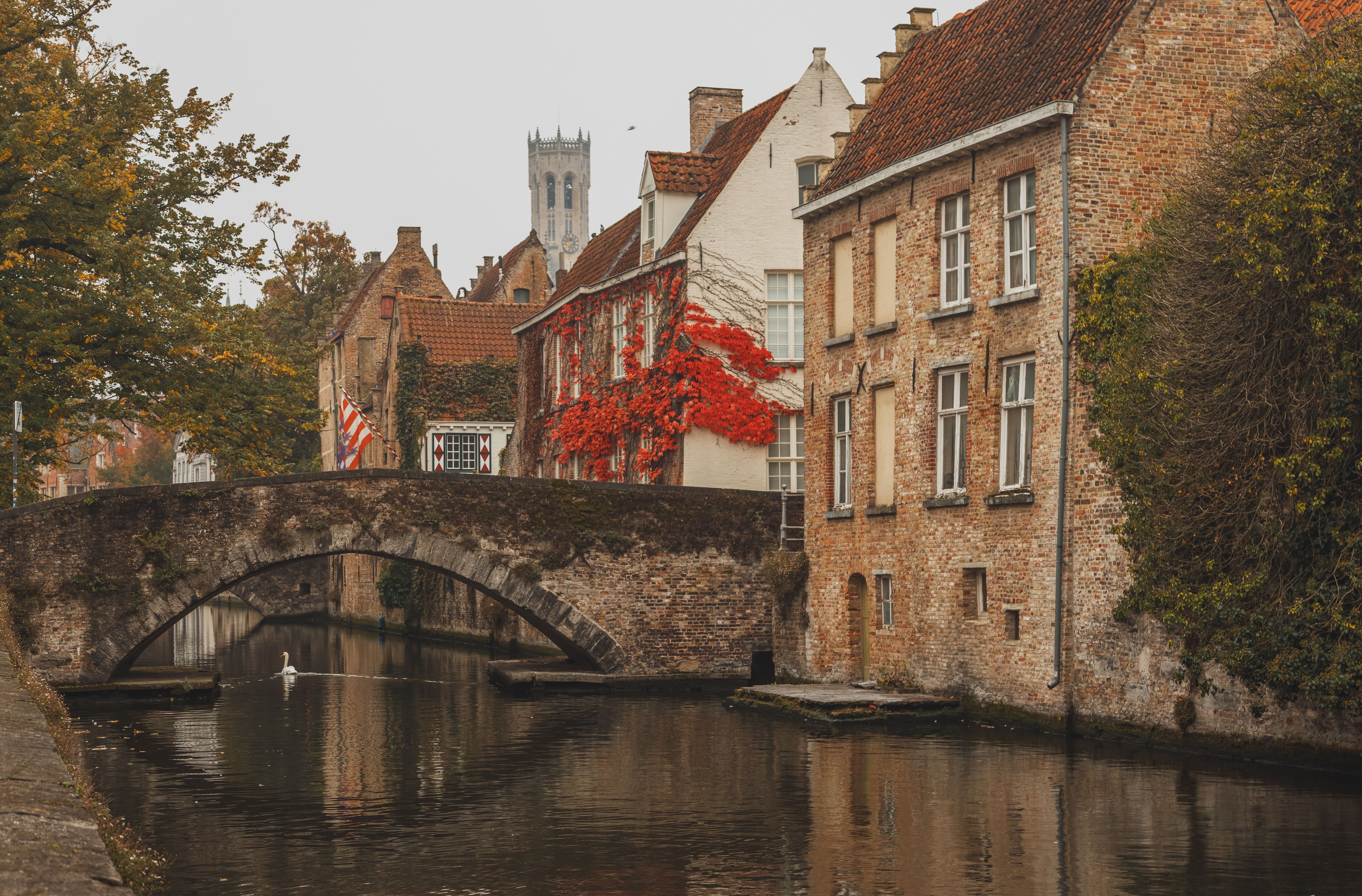 Herbstliche Kanalszene in Brügge mit Steinbrücke, alten Häusern und herbstlichem Laub.