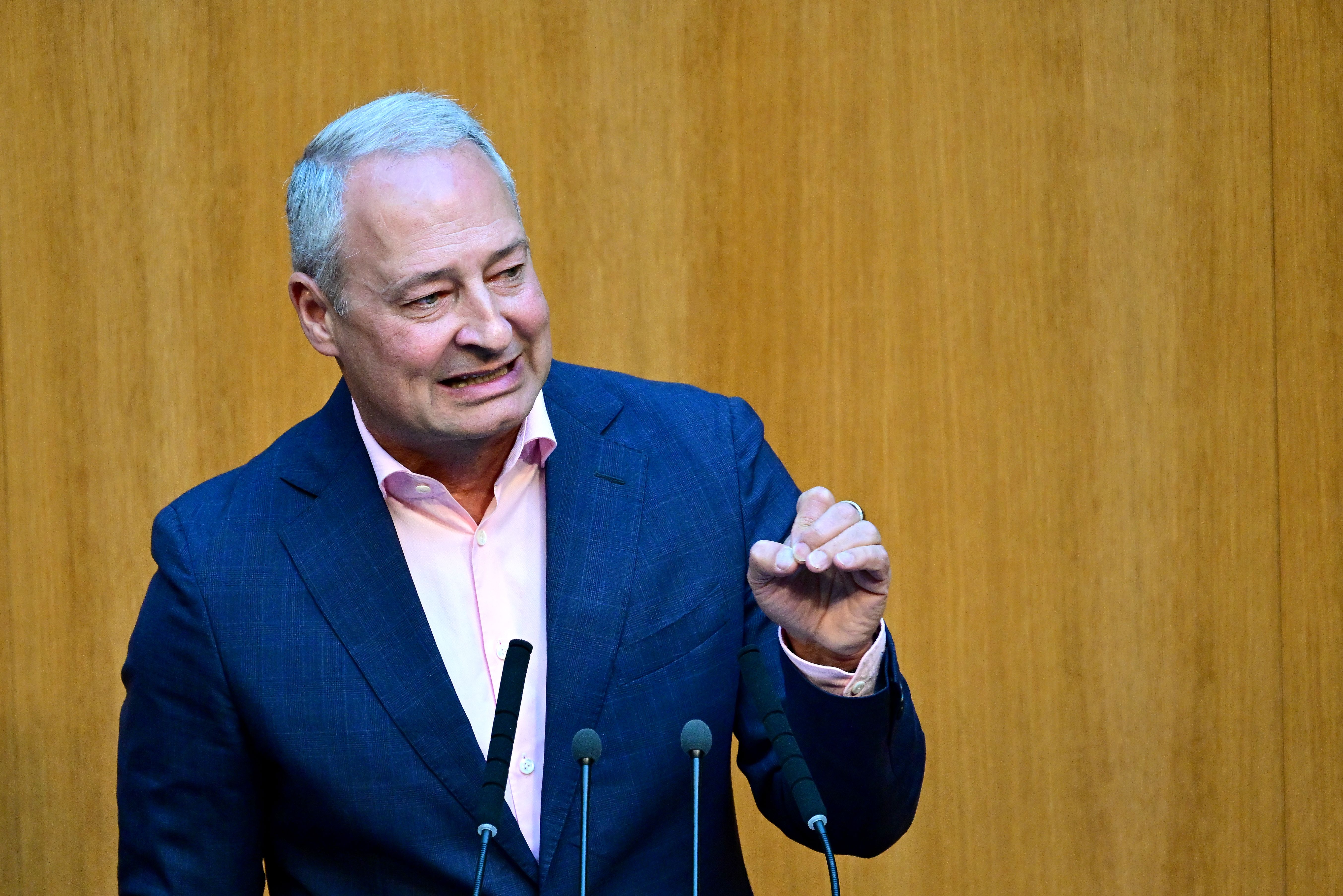 Ein Mann im blauen Sakko spricht gestikulierend an einem Rednerpult im Parlament.