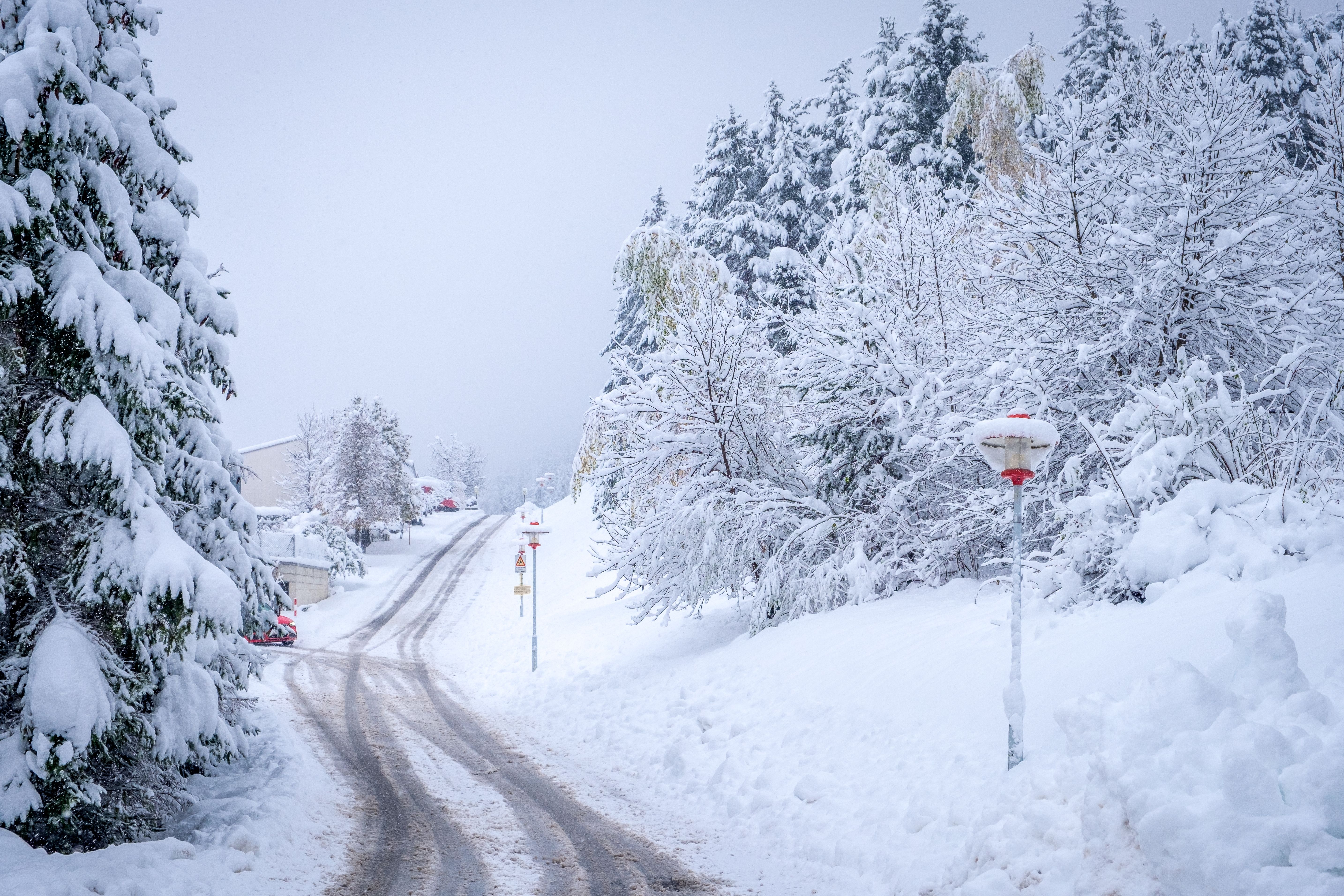 Verschneite Straße mit schneebedeckten Bäumen im Winter in Neustift im Stubaital, Österreich.