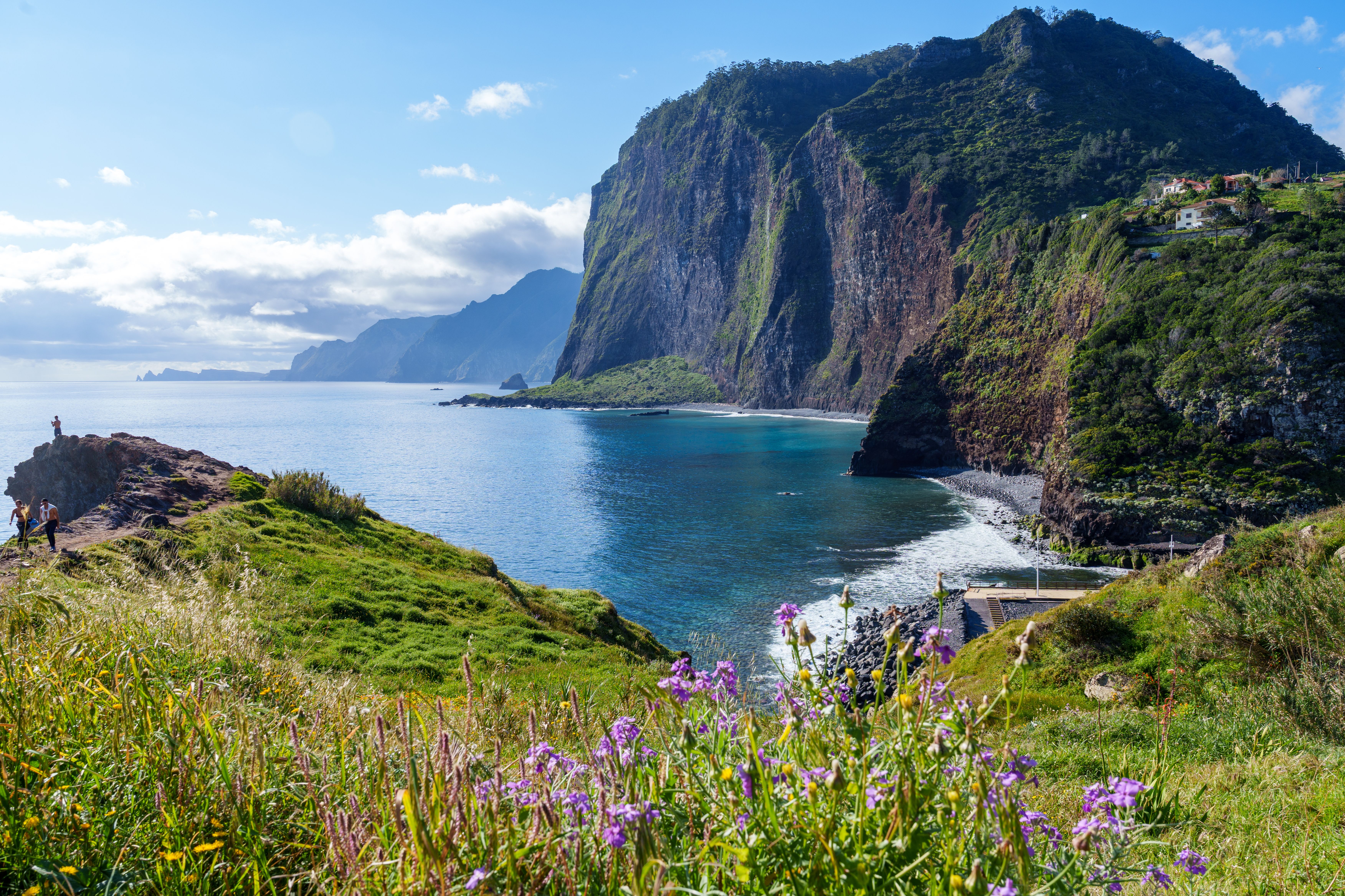 Grüne Klippen, Blumen und das blaue Meer an der Küste von Madeira, Portugal, im Sommer.