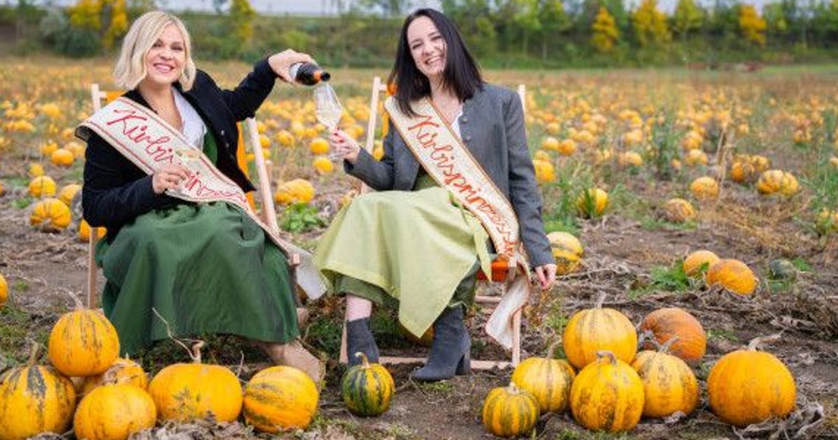 Im Rausch Kürbisfest: Weinviertel im orangenen Rausch - oe24.at