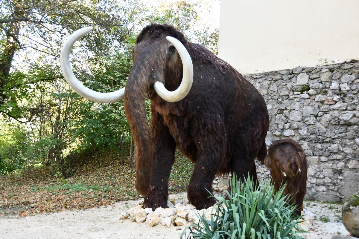 Mutter-Mammut mit ihrem Baby.