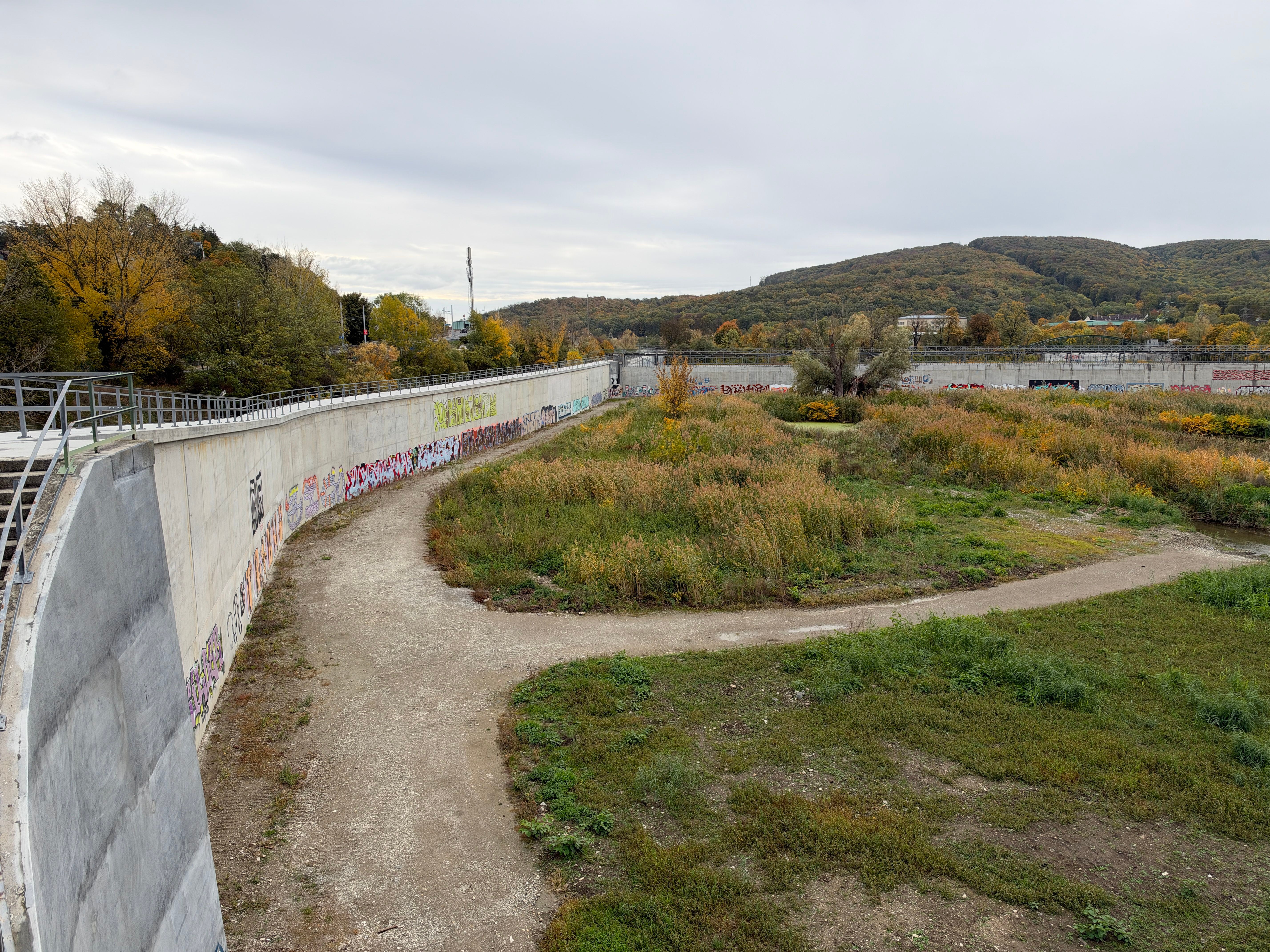 Betonierter Hochwasserschutzkanal mit Graffiti, umgeben von bewachsener Natur und Herbstbäumen.