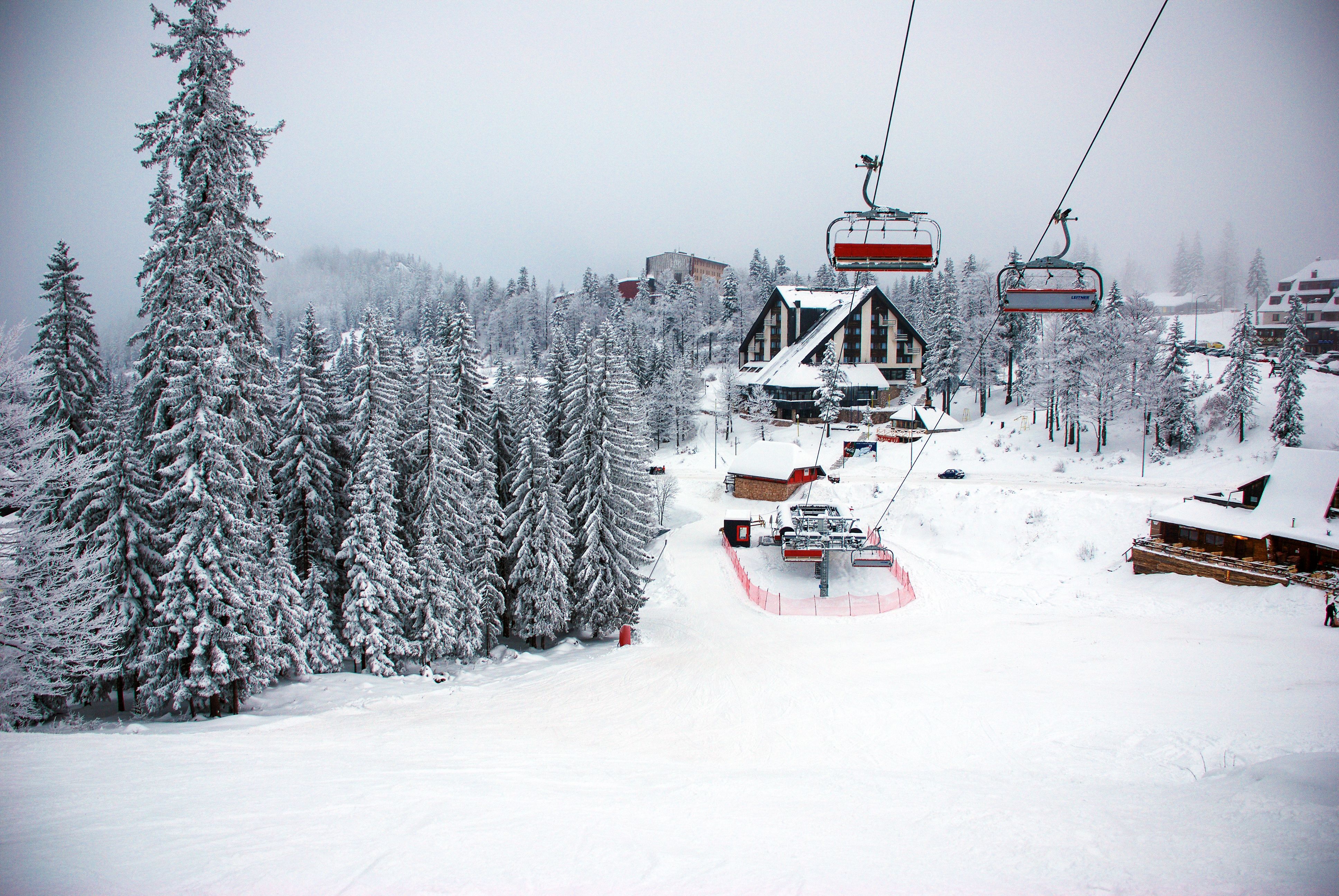 Skigebiet mit verschneiten Bäumen, Skilift und Berglodges im Winter.