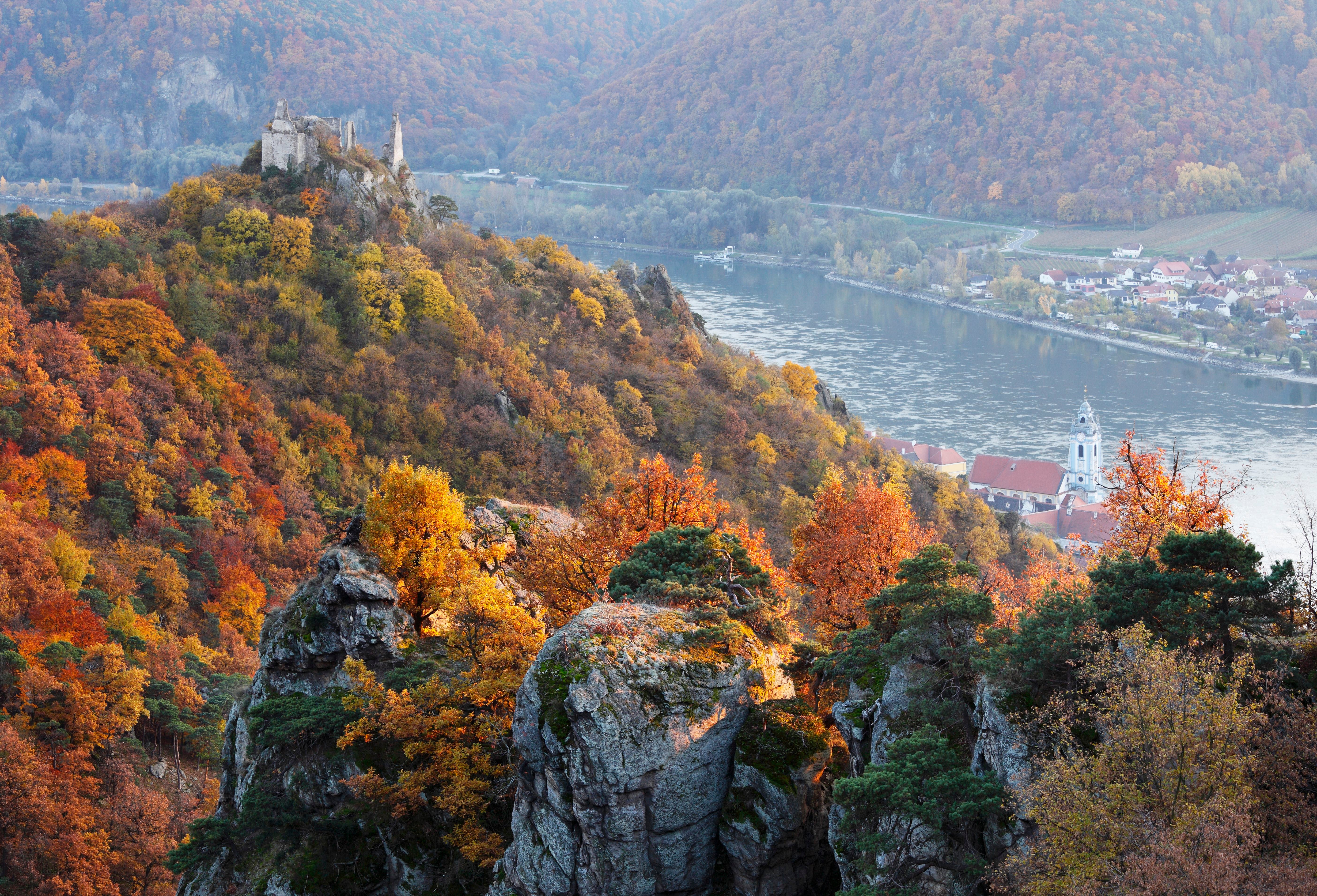 Hügelige Waldlandschaft im Herbst mit Burgruine, Fluss und Dorf im Hintergrund.
