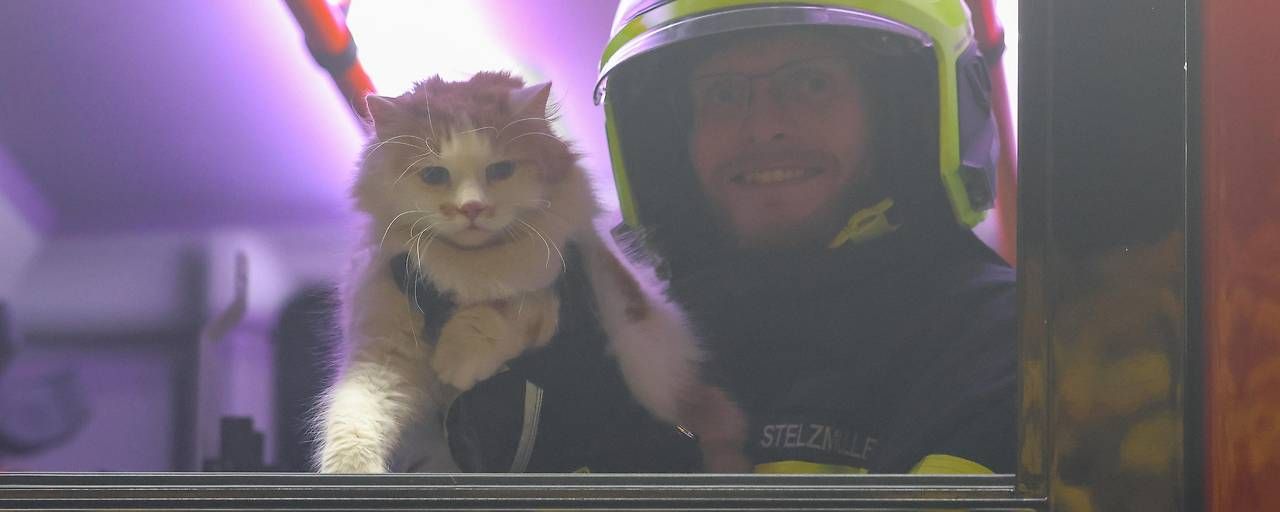 Ein Feuerwehrmann hält eine gerettete Katze in einem beleuchteten Innenraum.