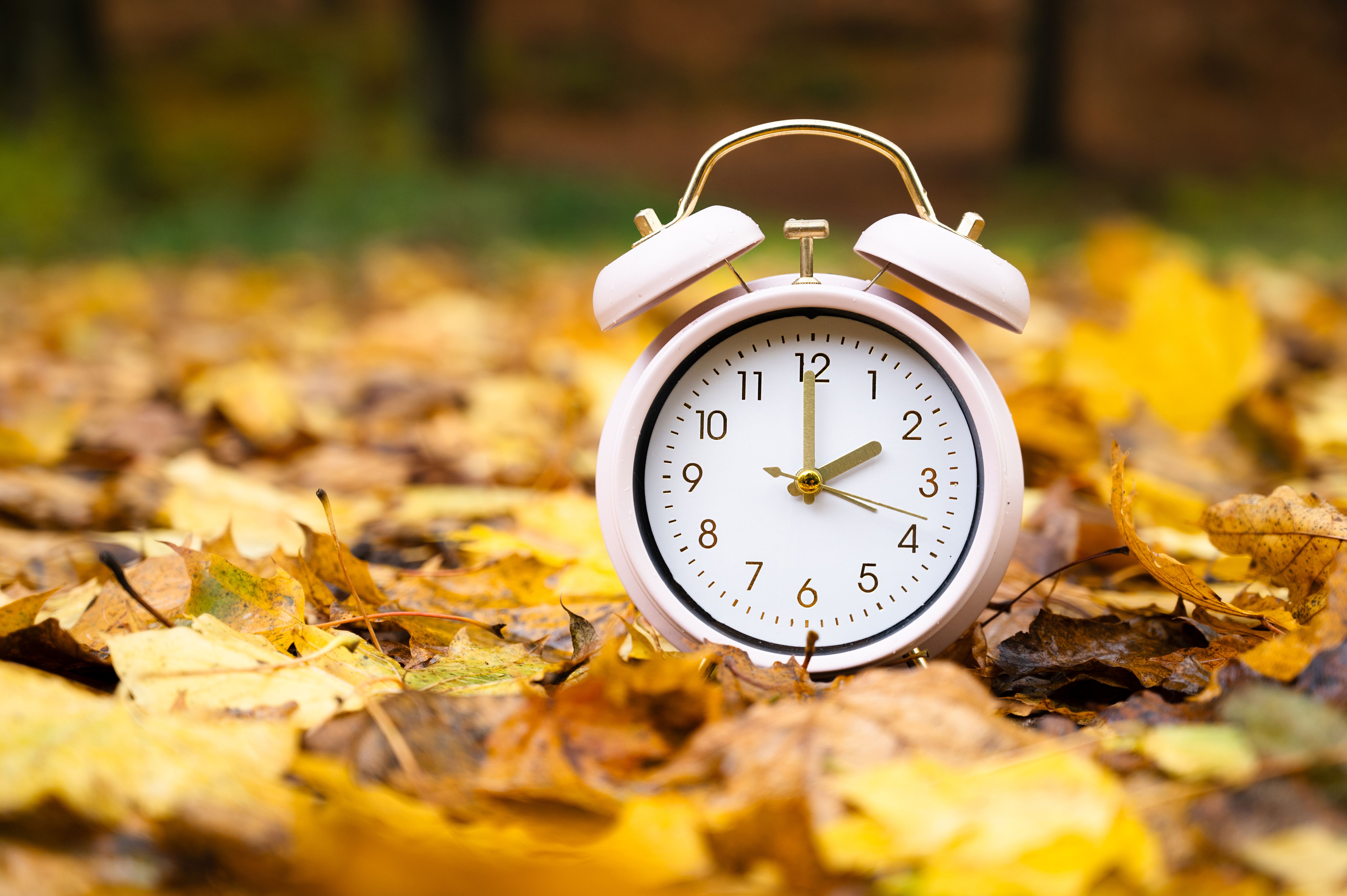 Weißer Wecker steht auf buntem Herbstlaub im Wald, symbolisiert Zeitumstellung im Herbst.