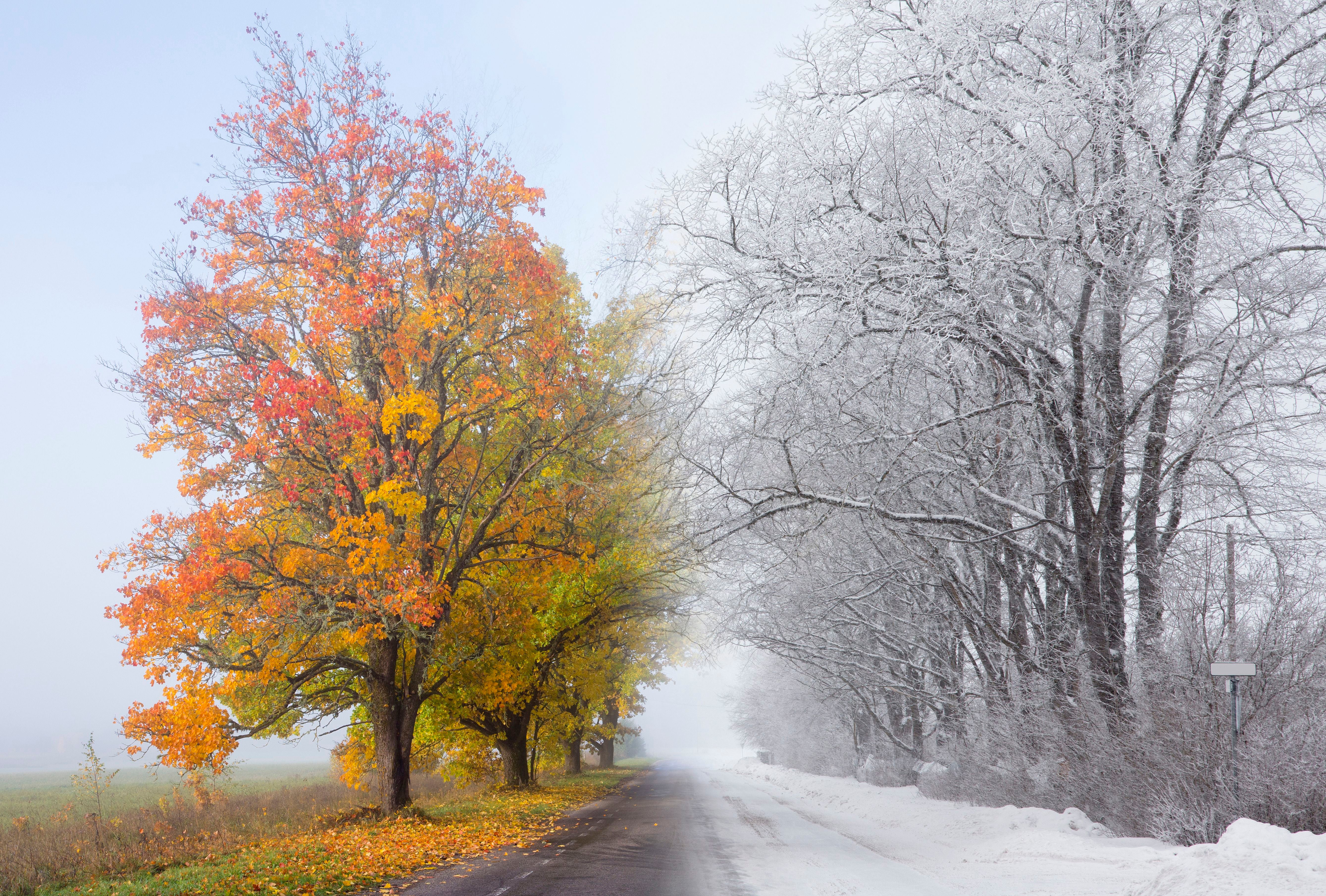Die linke Straßenseite zeigt Herbstlaub, die rechte verschneite Winterbäume und Straße.