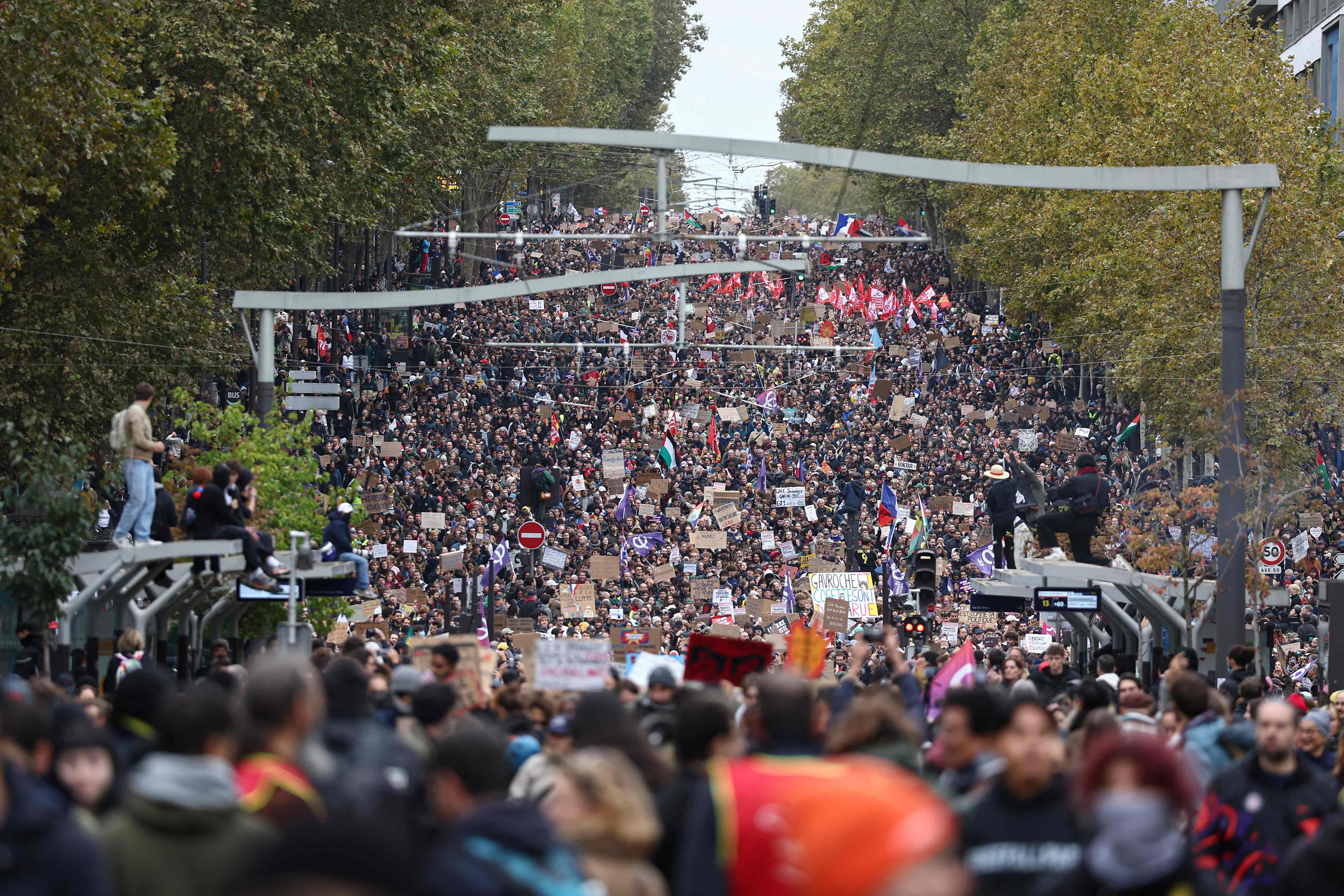 Große Menschenmenge demonstriert mit Schildern und Fahnen auf einer von Bäumen gesäumten Straße in Paris.