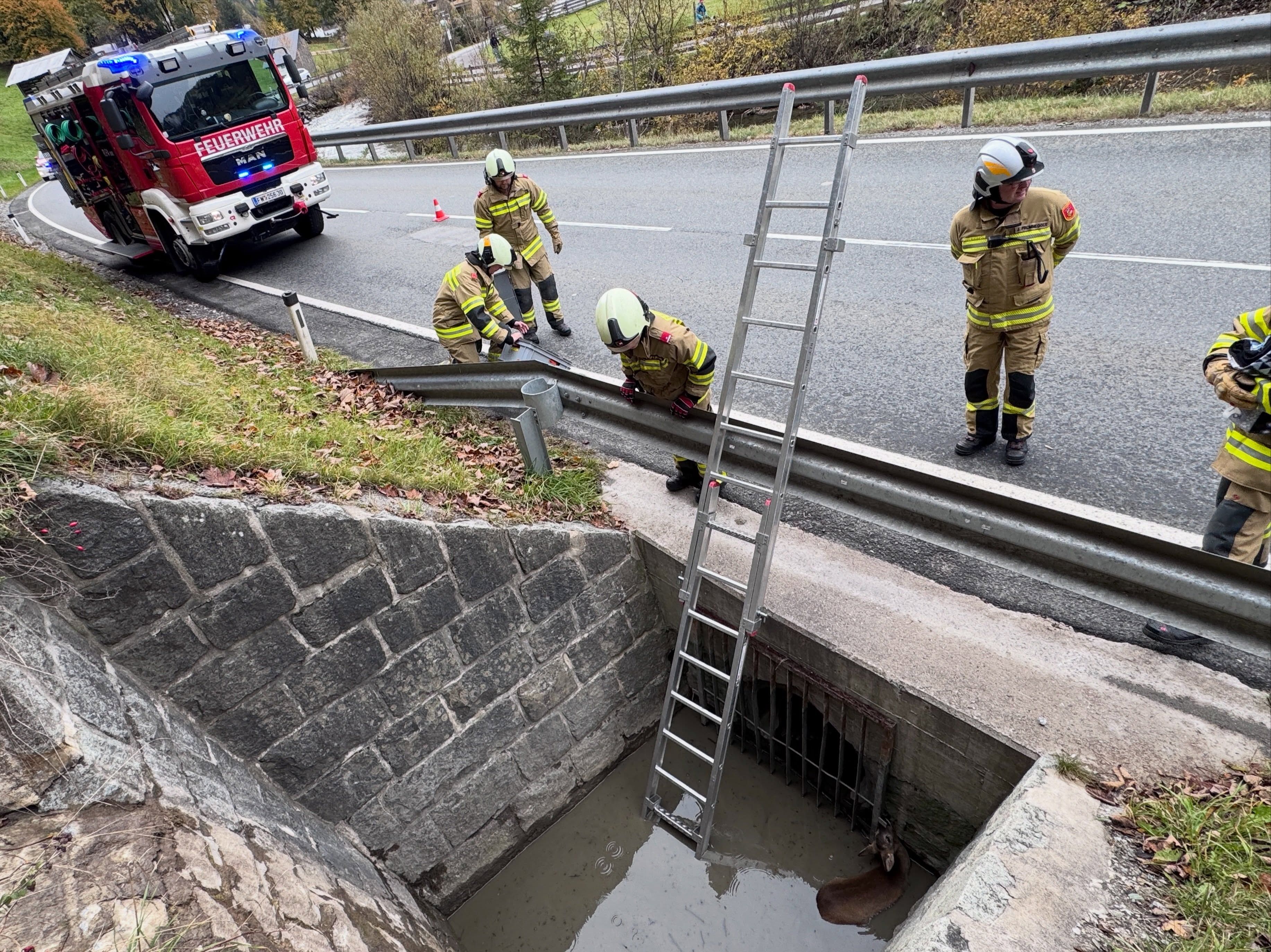 Feuerwehrleute retten ein Reh aus einem Wassergraben mit einer Leiter an einer Straße.