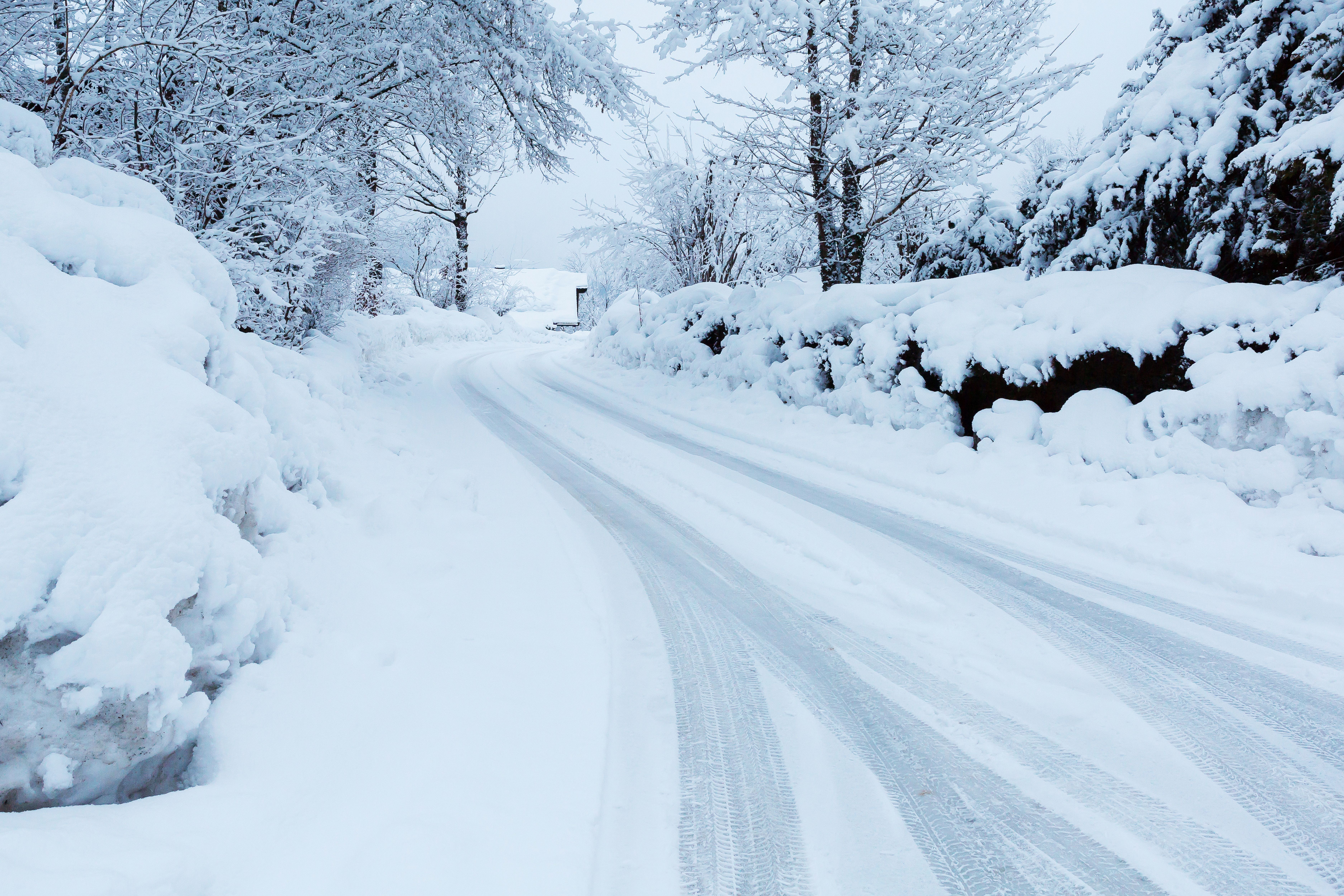 Verschneite Straße mit Reifenspuren, Bäume und Büsche sind dick mit Schnee bedeckt.