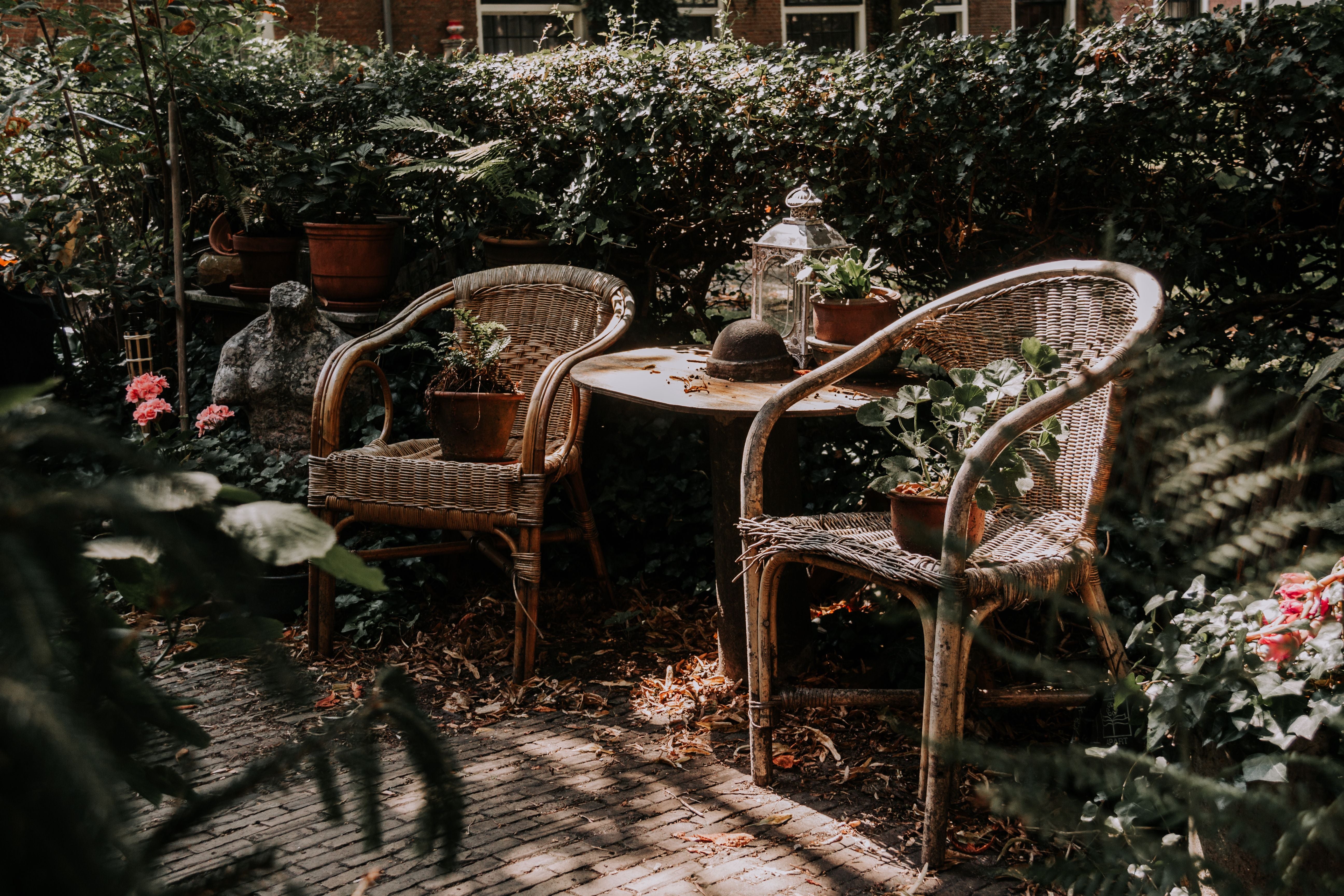 Zwei Korbstühle und ein Tisch mit Pflanzen im grünen, schattigen Garten.