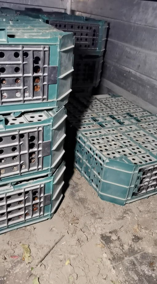 Mehrere grüne Kisten mit Luftlöchern, gestapelt auf staubigem Boden in einem dunklen Raum.