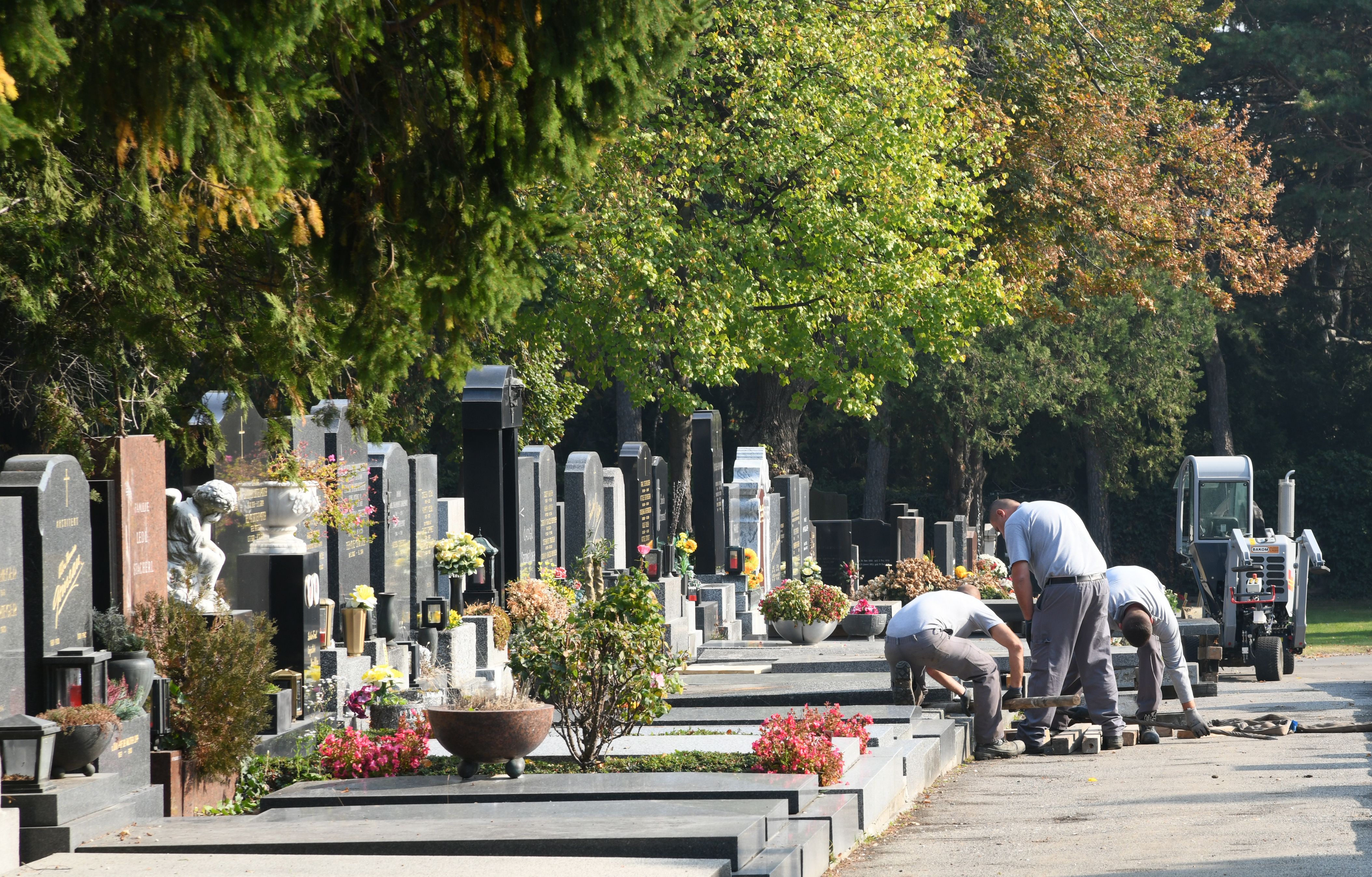 Drei Arbeiter verrichten Pflasterarbeiten auf einem Friedhof mit vielen Grabsteinen und Blumen.