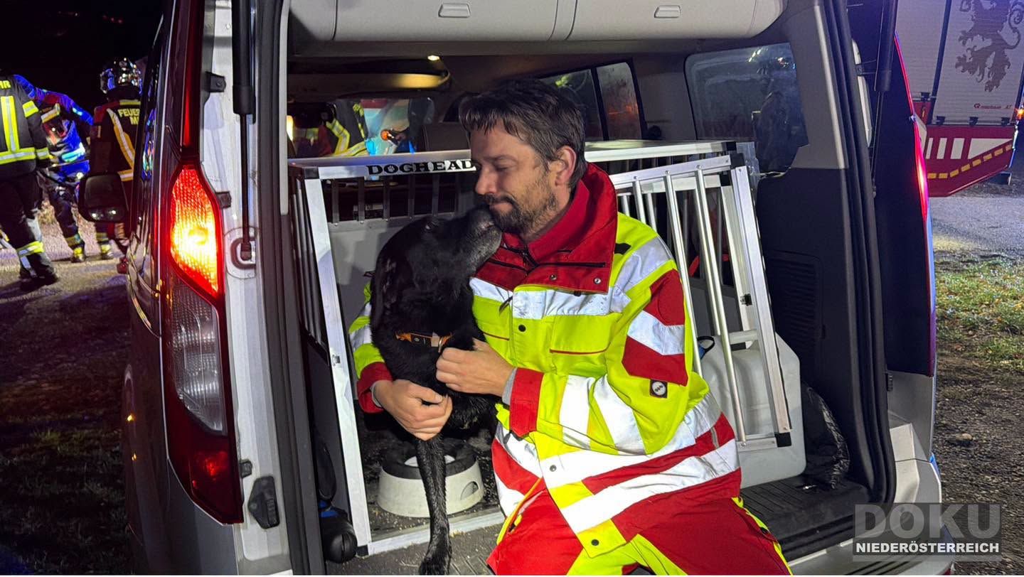 Ein Rettungshund sitzt im Auto und wird von seinem Hundeführer liebevoll umarmt.