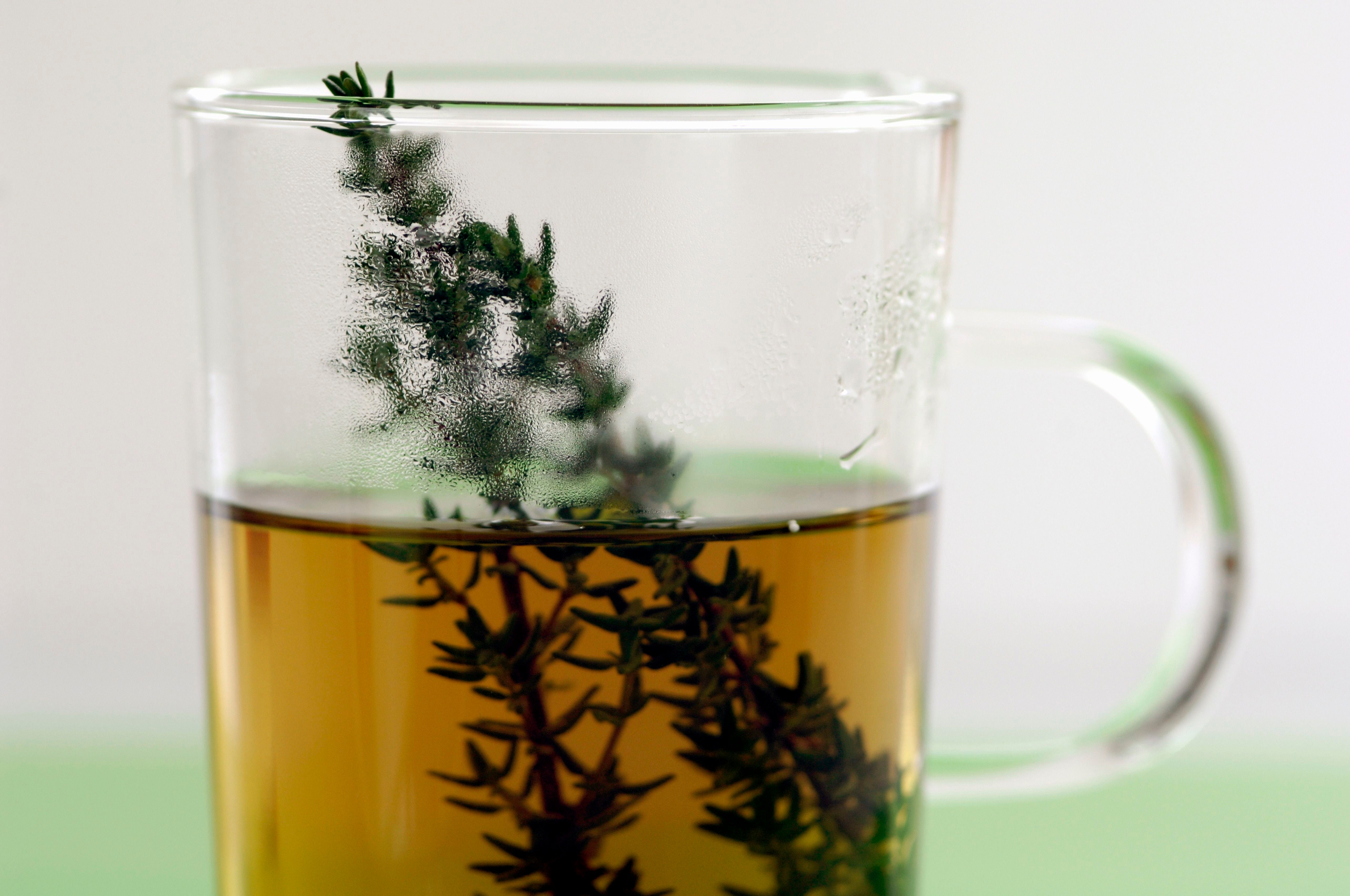 Glas mit Thymiantee und frischem Thymianzweig im Getränk.