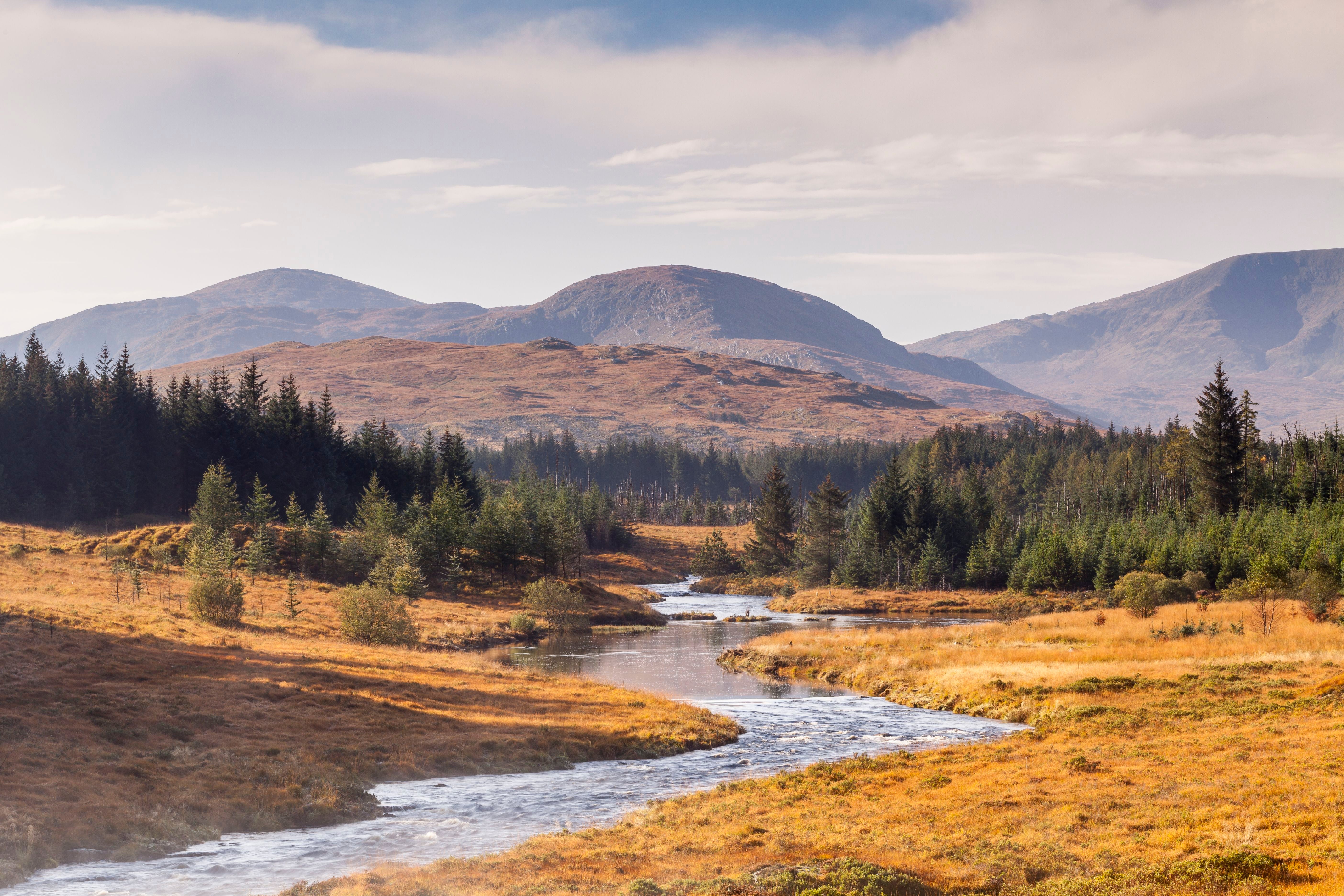 Fluss schlängelt sich durch herbstliche Landschaft mit Nadelwäldern und Bergen im Hintergrund.