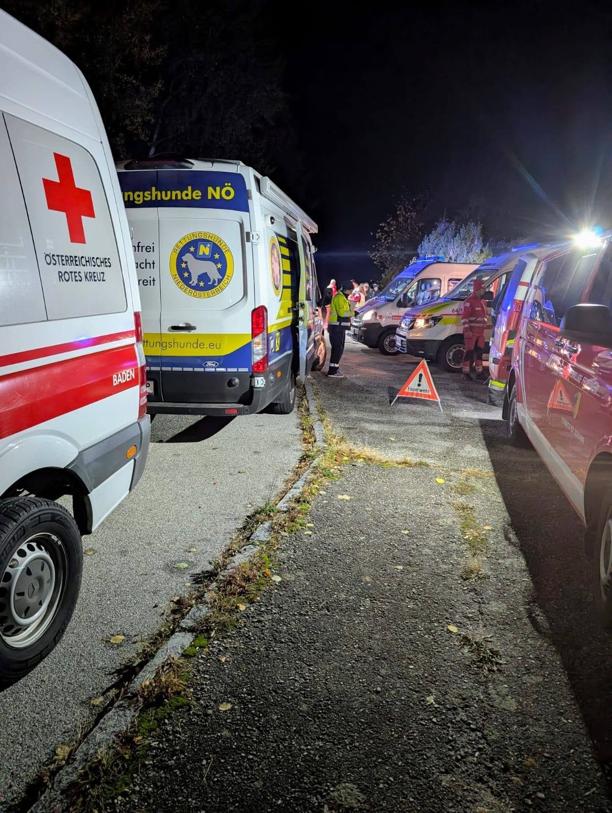 Mehrere Einsatzfahrzeuge von Polizei, Rettung, Feuerwehr und Rettungshunden bei Nacht im Einsatz.
