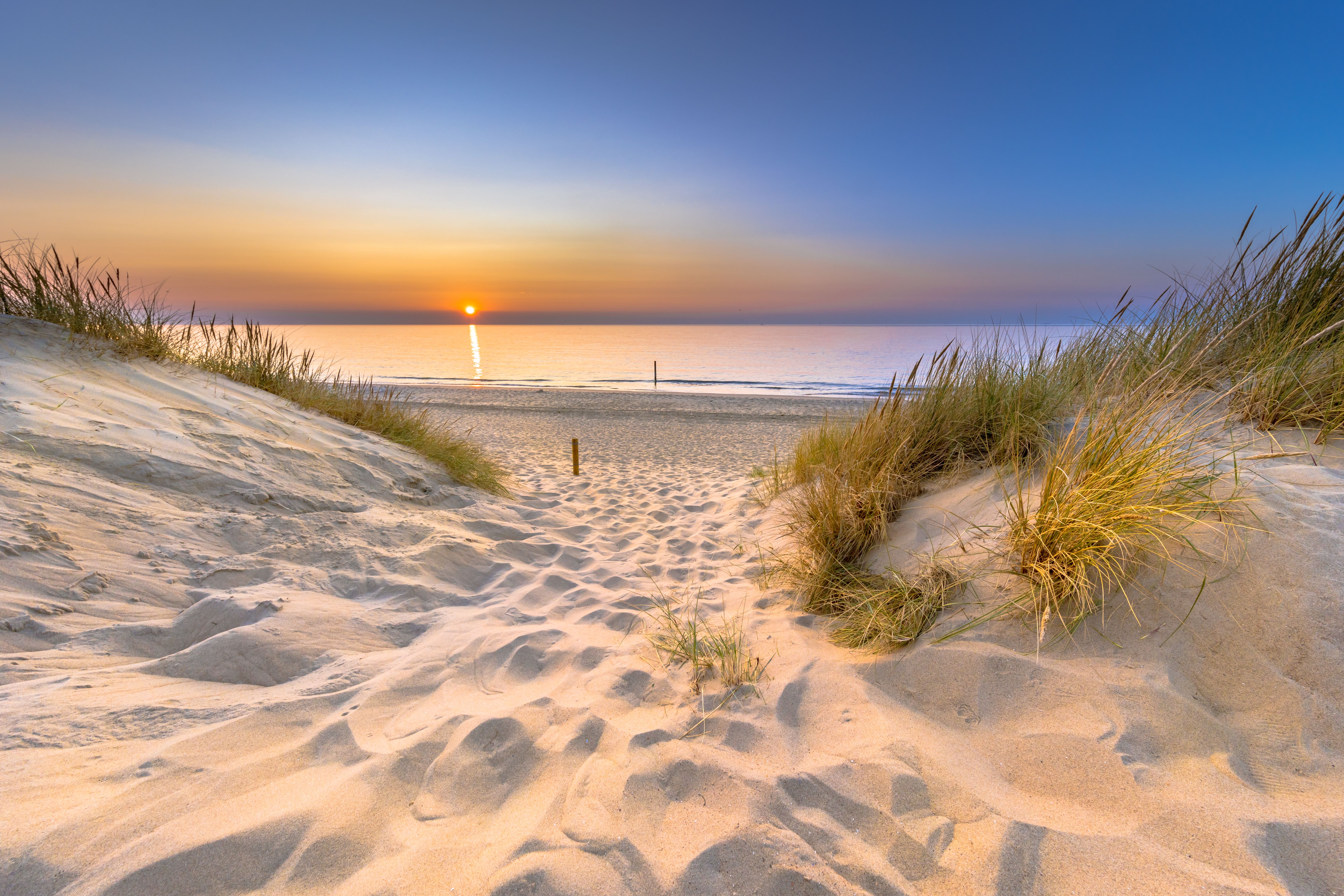 Sonnenuntergang über dem Meer, gesehen von einer Sanddüne mit Gras in Ouddorp, Niederlande.