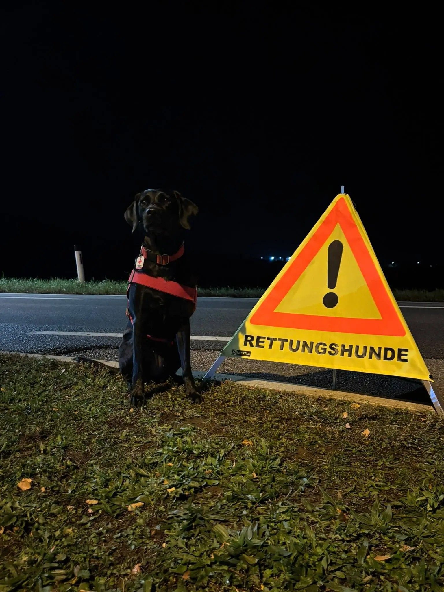 Gracy posiert stolz nach ihrer Leistung.