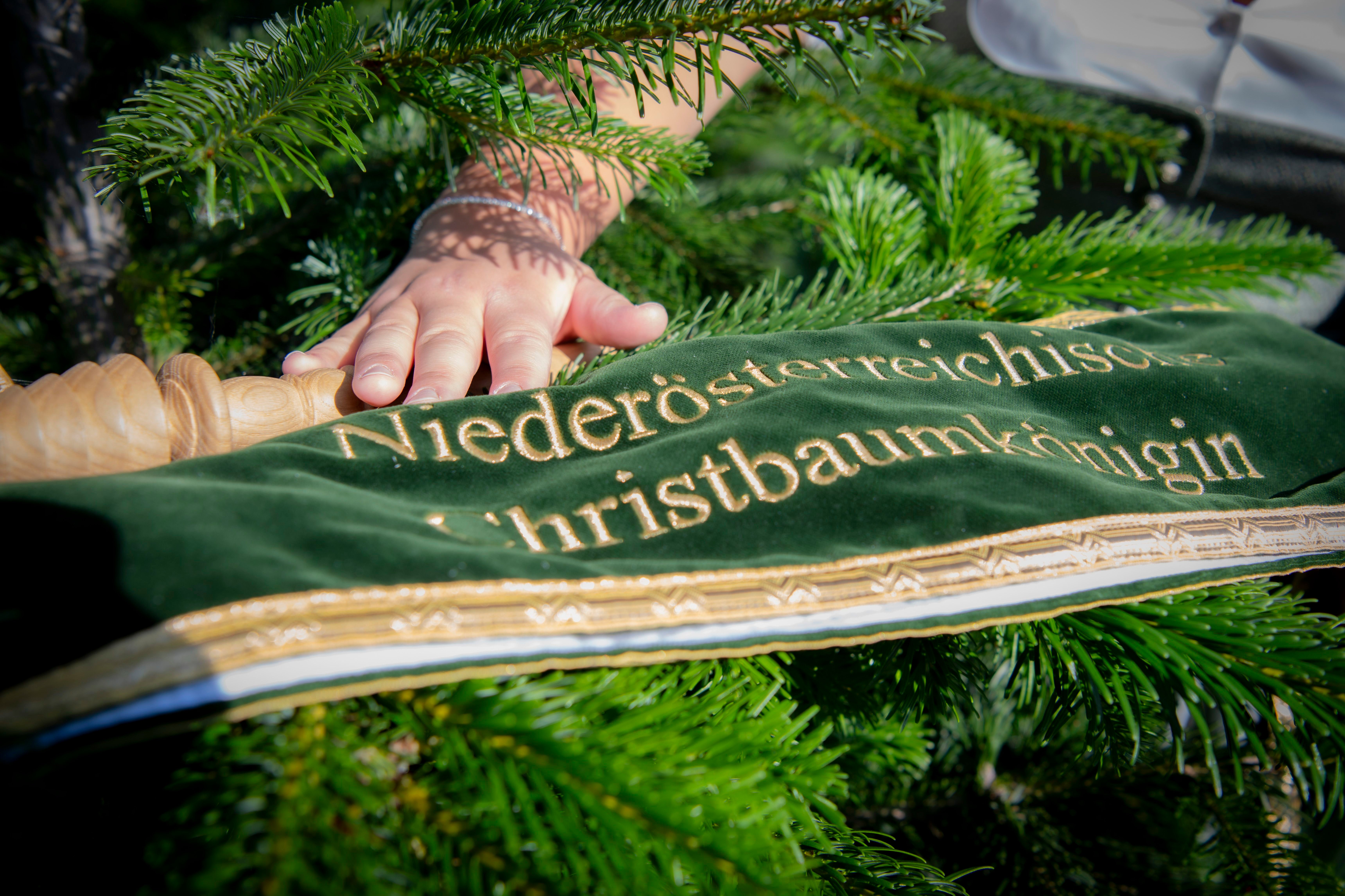 NÖ-Christbaumkönigin